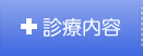 診療内容