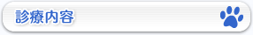 診療内容