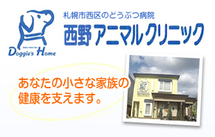 札幌市西区のどうぶつ病院 西野アニマルクリニック あなたの小さな家族の健康を支えます。